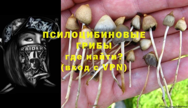 мдма Касимов